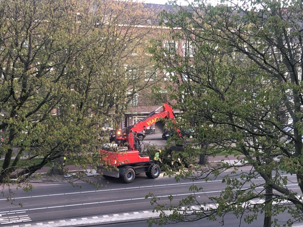 1796 Bomen Worden Gekapt In Amsterdam Meldpunt Bomenkap